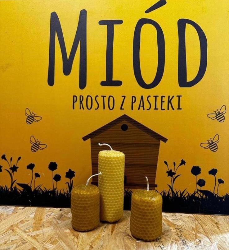 Kokolinko- Dom Caloroczny Na Mazurach Villa Swietajno  Kültér fotó