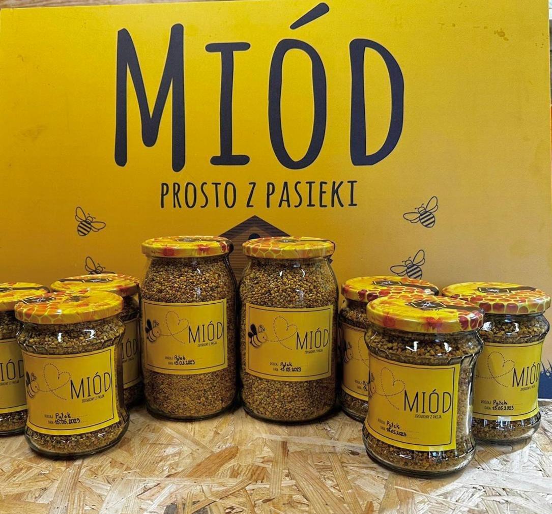 Kokolinko- Dom Caloroczny Na Mazurach Villa Swietajno  Kültér fotó